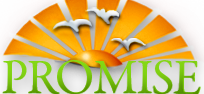 Promise in Brevard Logo