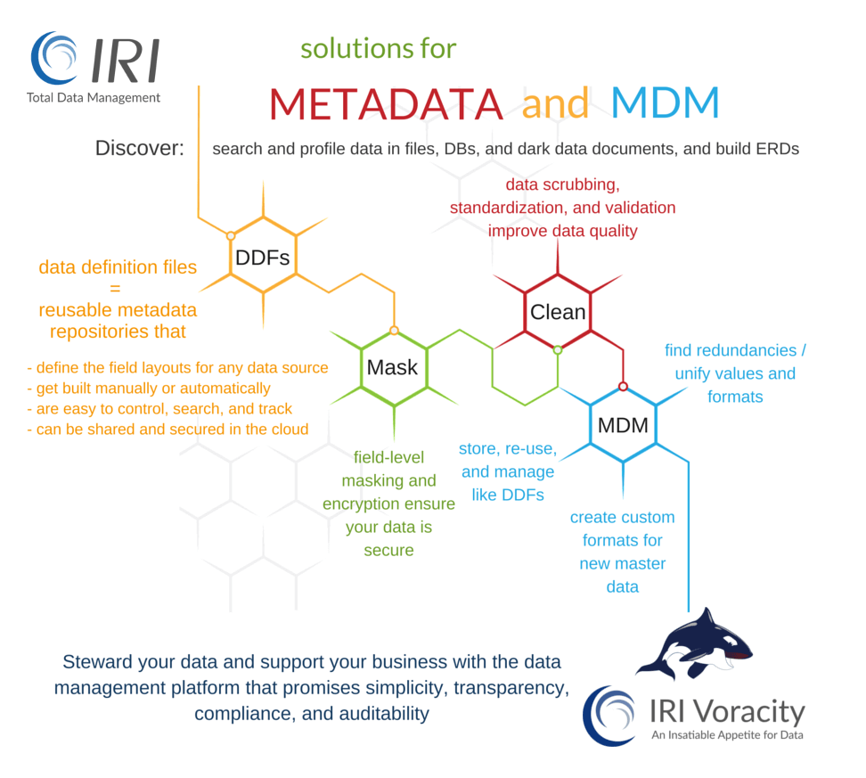 IRI solutions for metadata management and master data management (MDM) problems