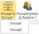 Encrypt Decrypt button