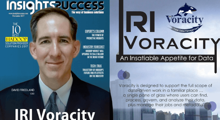 Insights Success Voracity Article Cover
