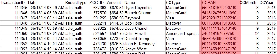 Sample Transaction Record Table (Not PCI Compliant)