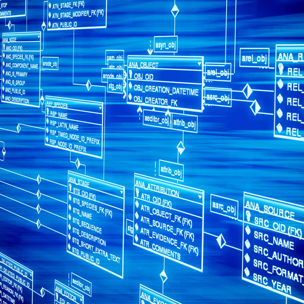 a schema of data