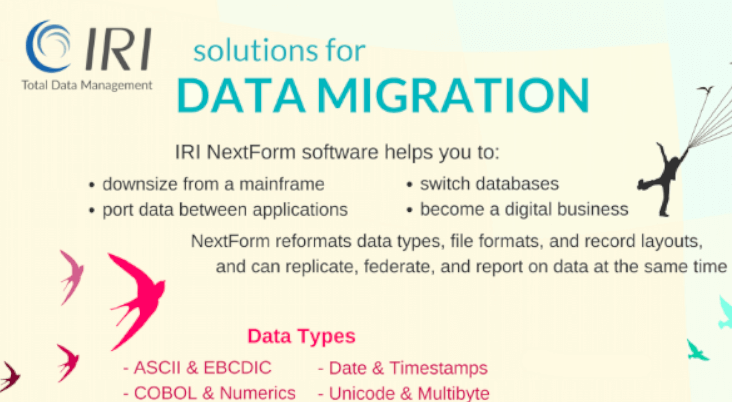 Data Migration Infographic