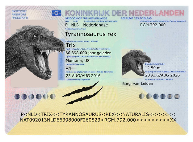 number random social security IRI Netherlands NID Data: Test Generating BSN number random social security IRI Netherlands NID Data: Test Generating BSN