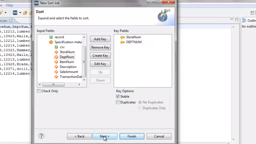 Sort Demonstration [video] - IRI