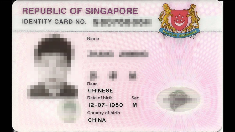 Testing and Masking Singapore NRICs - IRI