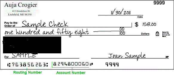 Cancelled Check Example